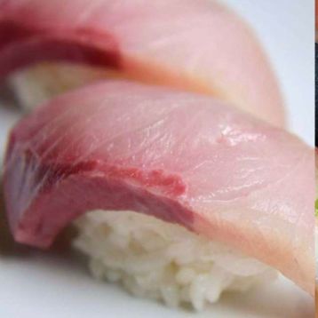 Hamachi Sushi