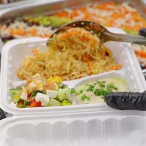 Chicken Donair Plate