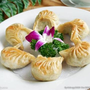 Pan Fried Pork Dumplings
