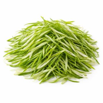 Side Green Onion
