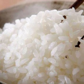 Plain Rice