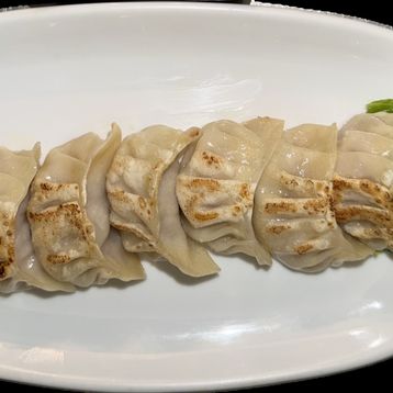4. Pan Fried Momo (Beef/Pork/Chicken/Veg) - (10 pcs)
