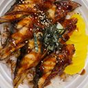 Unagi Don