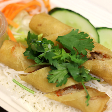 Vegetarian Springrolls on Rice