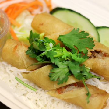 Spring Rolls on Vermicelli