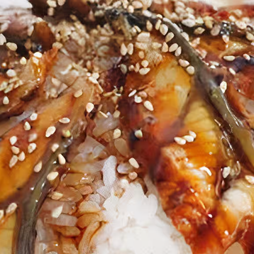 Unagi Don