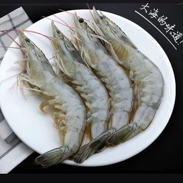 Shrimp