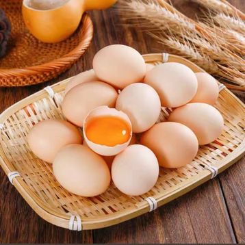 Egg