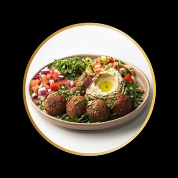 Falafel Plate