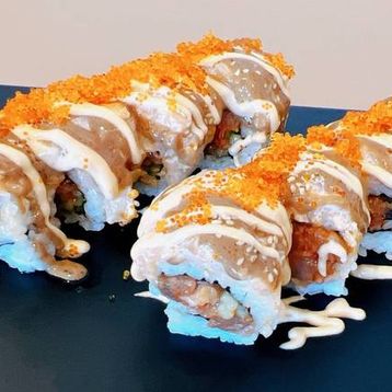 Scallop Magma 8pcs