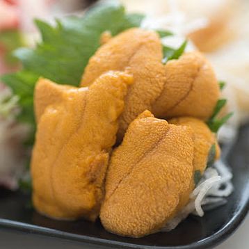 Uni Sashimi