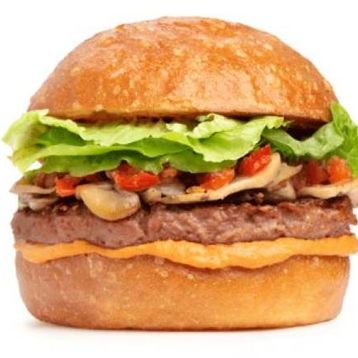 Plant Based Burger
