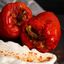 Dolma Platter (Vegetarian)